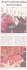 flash template default photo